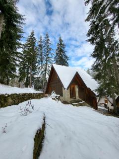 Cozy Cottage Vlašić - Vlasic - 8