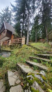 Cozy Cottage Vlašić - Vlasic - 5