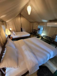 Trickling Stream Campsite - 2