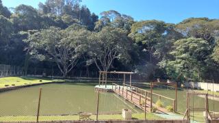 Chacara recanto mineiro - Jarinu - 7