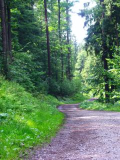 Pokoje Pod Dębowcem - Bielsko-Biala - 3