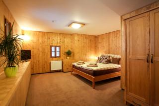 Residence Buffalo - Špindlerův Mlýn - 7