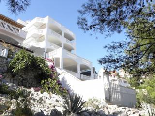Apartments Snjeza - Drage - 1