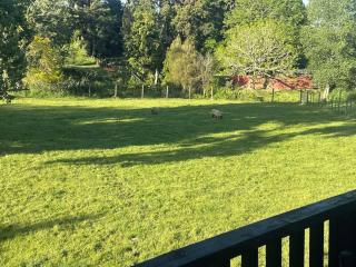 Pukekohe Location! Romantic Country Cottage - Pukekohe East - 2