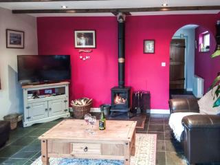 Panteg Cottage - Cross Inn - 9