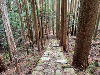 山の宿大樽風呂のたけのこ - Kumano - 6