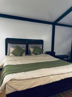 Tropical eglamping - 6