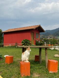 Pousada Manacá da Serra, Visconde de Mauá - Visconde De Maua - 7
