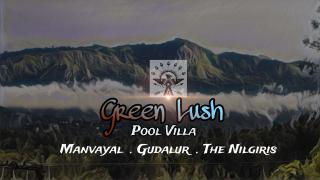 Green lush pool villa - Mudumalai National Park - 7
