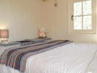 Molly The Shepherds Hut - Bampton - 1