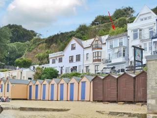 Chine Bluff - Shanklin - 0