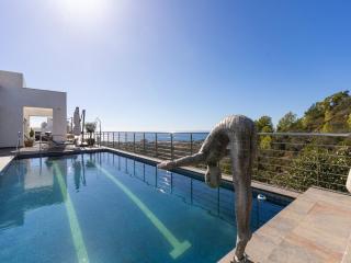 Lavish villa with private pool - Marbella - 5