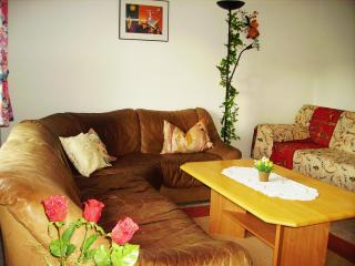 Ferienwohnung Kappauf / Petrik - Friedenfels - 3