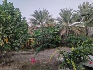 عمان - 2
