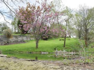 Upper Mill Barn - Nantgaredig - 1
