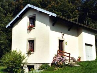 Gîte rustique au cœur des Vosges-Saônoises avec cheminée - FR-1-583-59 - Saint-Bresson - 0