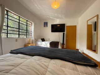 Hostal Roma Condesa - Città del Messico - 7