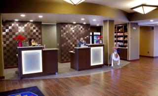 Best Western Plus Lincoln Inn & Suites - 3
