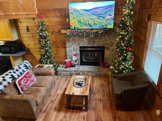 ER27- Bear Naked - Great location- Close to town cabin - 7
