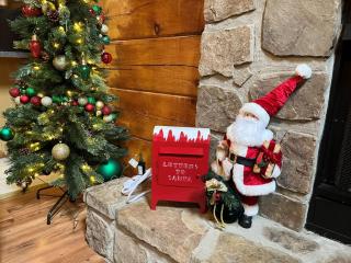 ER27- Bear Naked - Great location- Close to town cabin - 5