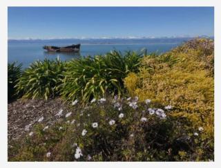 Cruse Cottage Central Motueka - Motueka - 9
