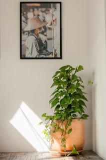 Blessings Home & Café - Haad Pleayleam - 2