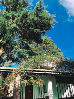 Muthu's Chill House - Nuwara Eliya - 4