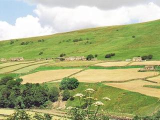 Dyke Heads Stable - Gunnerside - 2
