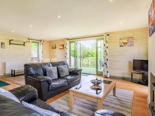 Primrose Lodge - Holsworthy - 8