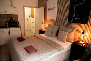 Benedikt Apartment - Praga - 1