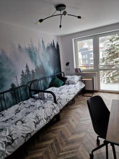 Apartament Księżycowy Wisła - Wisła - 5
