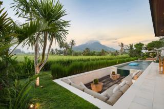 Villa Swannelli by BaliSuperHost - Ubud - 3