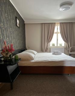 Hotel Lomnice - Špindlerův Mlýn - 1