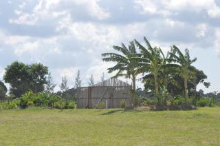 Farming In Rhythm - - 0