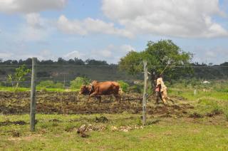 Farming In Rhythm - - 7
