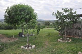 Farming In Rhythm - - 5