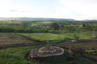 Farming In Rhythm - - 2