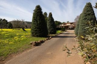 Villa Can Font - Palma de Mallorca - 9