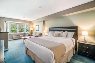 The Valley Inn, Ascend Hotel Collection - Waterville Valley - 3