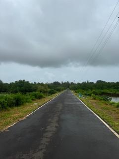 The Mangrove - Achra - 5