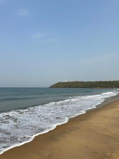 The Mangrove - Achra - 6