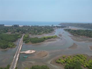 The Mangrove - Achra - 9