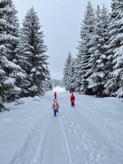 Green Top Durmitor - 3