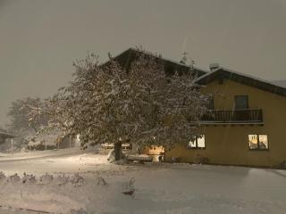 La Vigne de Papagran - Aosta - 0