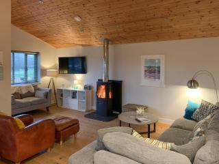Peregrine Lodge - Saint Columb Major - 6