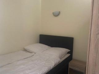 Ferienbutzen Harz Flieder - 8