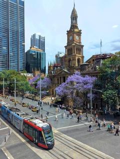 Gadigal Apt - Sydney - 1