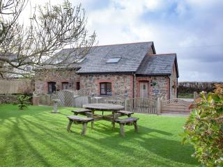 The Old Mill House - Welcombe - 0