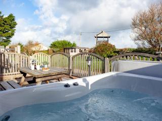 The Old Mill House - Welcombe - 9