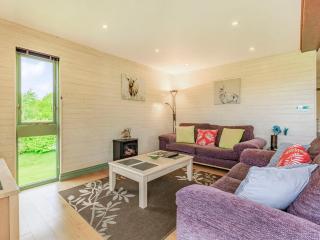 Foxglove Lodge - Holsworthy - 8
